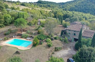 Boerderij te koop 06010 Monte Santa Maria Tiberina, Umbria, Foto 6/50