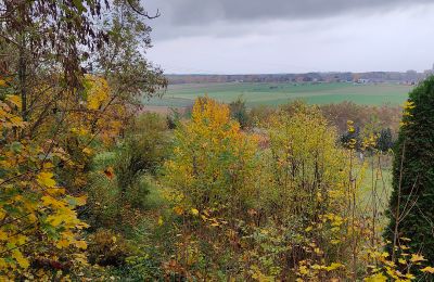 Landhuis te koop Górki Małe, województwo łódzkie, Foto 9/20