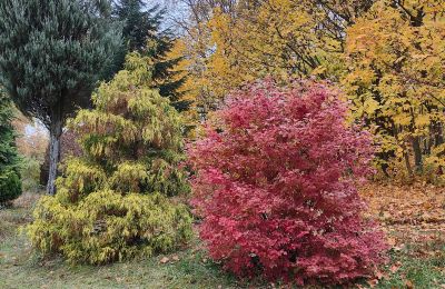 Landhuis te koop Górki Małe, województwo łódzkie, Foto 12/20