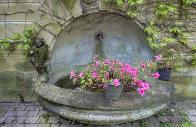 Historische villa te koop Vernaison, Auvergne-Rhône-Alpes, Details