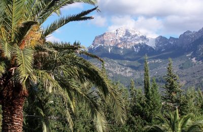 Plattelandswoning te koop Sóller, Cami de Cas Carreter 5, Balearen, Foto 7/12