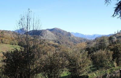 Landhuis te koop Parres, Asturië, Uitzicht 