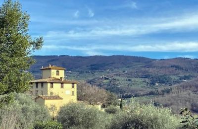 Historische villa te koop Firenze, Toscane, Omgeving van het pand