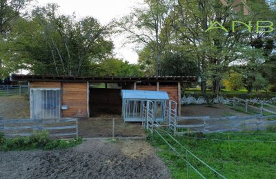 Landhuis te koop Busserolles, Nouvelle-Aquitaine, Foto 12/27