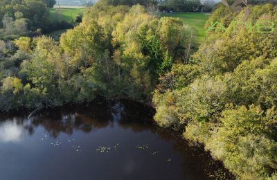 Landhuis te koop Busserolles, Nouvelle-Aquitaine, Foto 18/27