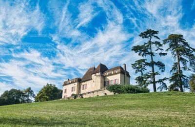 Kasteel te koop Monségur, Nouvelle-Aquitaine, Foto 22/22