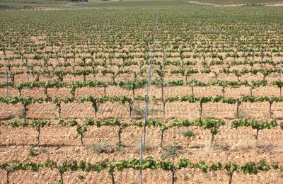 Landhuis te koop Vila-rodona, Catalonië, Foto 10/37