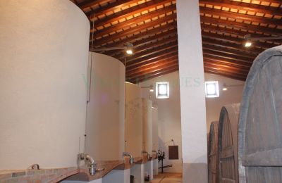 Landhuis te koop Vila-rodona, Catalonië, Foto 16/37