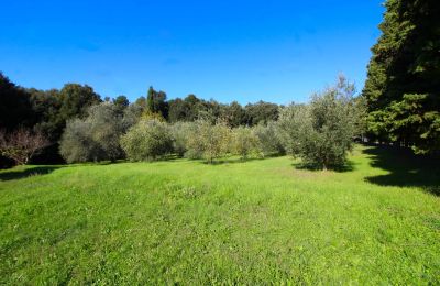 Plattelandswoning te koop Montecatini Val di Cecina, Toscane, Eigendom