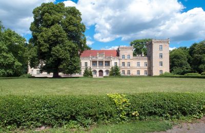 Kasteel te koop Gościeszyn, Pałac w Gościeszynie, województwo wielkopolskie, Pałac w Gościeszynie