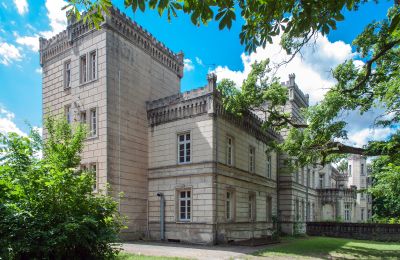 Kasteel te koop Gościeszyn, Pałac w Gościeszynie, województwo wielkopolskie, Zijaanzicht