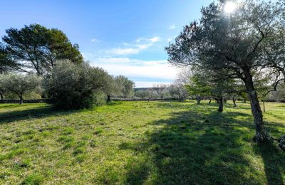 Landelijk huis te koop Uzès, Occitanie, Foto 11/14