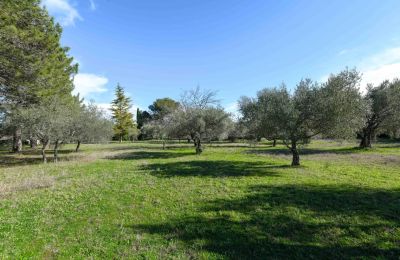 Landelijk huis te koop Uzès, Occitanie, Foto 14/14