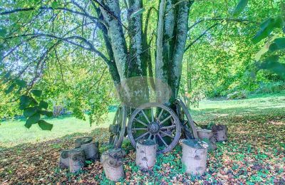 Landhuis te koop Lourdes, Occitanie, Tuin