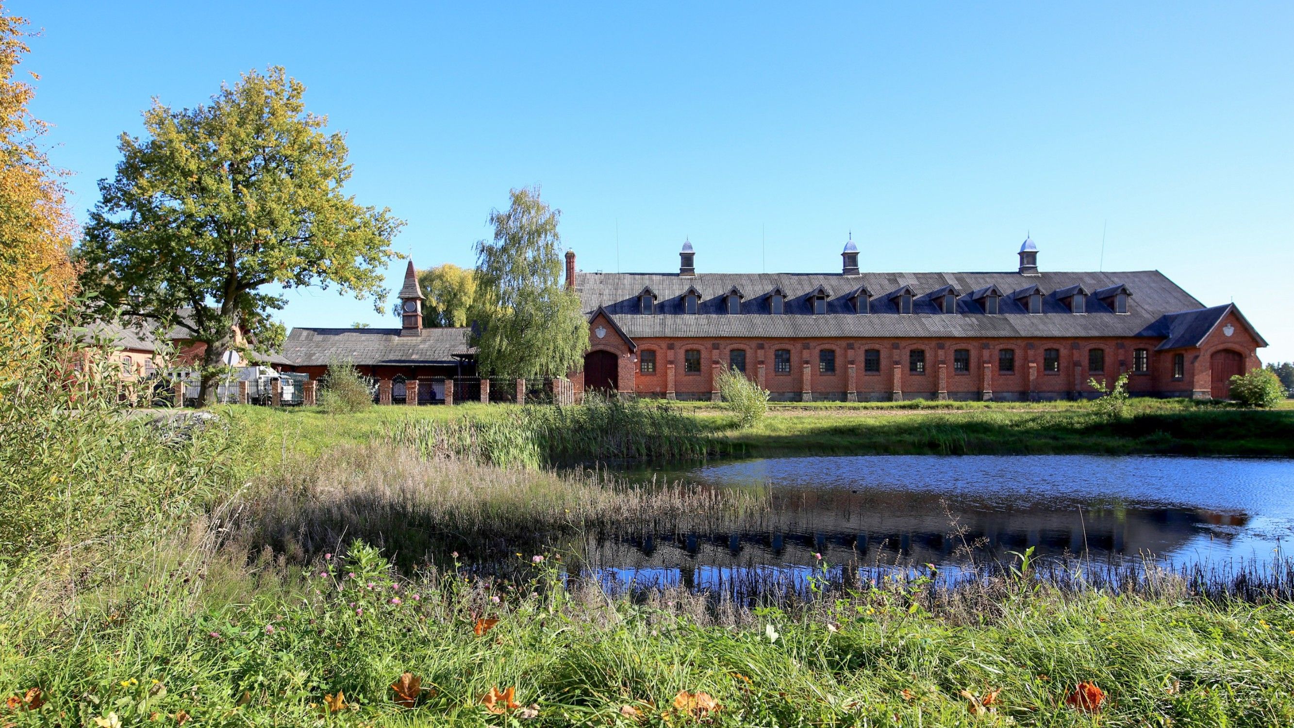 Images Žagarė Stud Farm - De oudste stallen in Litouwen