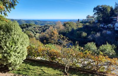 Plattelandswoning te koop Conna, Ligurië, Foto 7/18