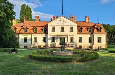 Landhuis te koop Dawidy, Dwór w Dawidach, województwo warmińsko-mazurskie, Neighborhood: Kadyny