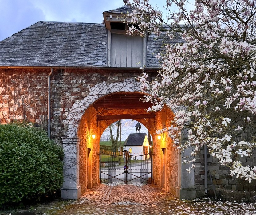 Vastgoed, AirBnB Kasteel België