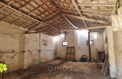 Historische villa te koop Mesagne, Puglia, Foto 29/37