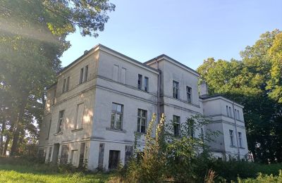 Landhuis te koop Goniembice, Dwór w Goniembicach, województwo wielkopolskie, Foto 4/8