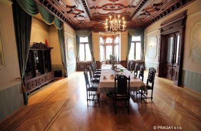 Historische villa te koop Ústecký kraj, Foto 6/17