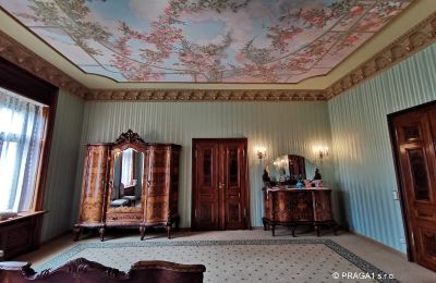 Historische villa te koop Ústecký kraj, Foto 15/17