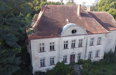 Landhuis te koop Osieczna, województwo wielkopolskie, Dronefoto