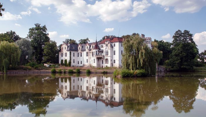 Kasteel Dobrocin 4