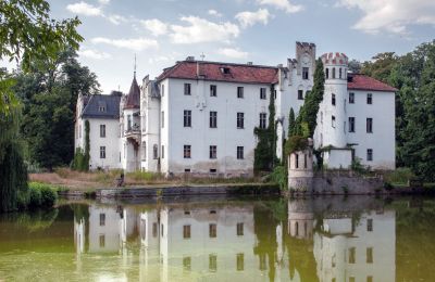 Kasteel te koop Dobrocin, Pałac w Dobrocinie, województwo dolnośląskie, Zijaanzicht