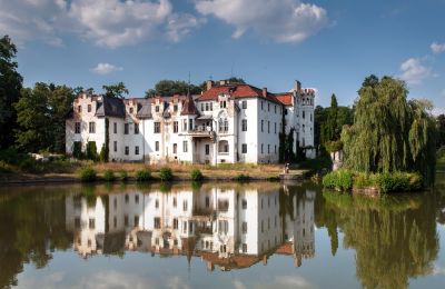 Kasteel te koop Dobrocin, Pałac w Dobrocinie, województwo dolnośląskie, Foto 6/17