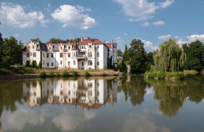 Kasteel te koop Dobrocin, Pałac w Dobrocinie, województwo dolnośląskie, Pałac w Dobrocinie