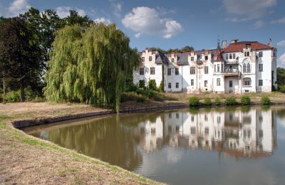 Kasteel te koop Dobrocin, Pałac w Dobrocinie, województwo dolnośląskie, Pałac w Dobrocinie