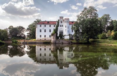 Kasteel te koop Dobrocin, Pałac w Dobrocinie, województwo dolnośląskie, Achteraanzicht