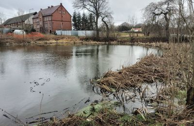 Kasteel te koop Bronów, Pałac w Bronowie, województwo dolnośląskie, Vijver/Meer