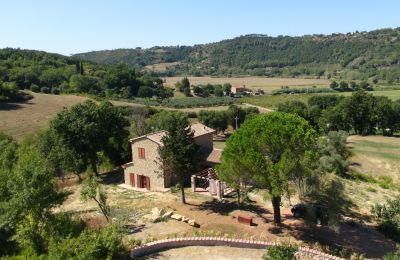 Plattelandswoning te koop Montescudaio, Toscane, RIF 2185 Blick auf Anwesen