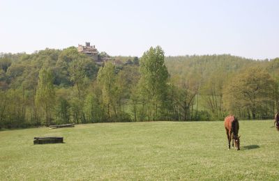 Plattelandswoning te koop Arezzo, Toscane, RIF2262-lang22#RIF 2262 Pferdekoppeln mit Ausblick