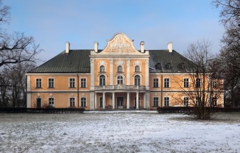 Czempiń, Pałac Czempiń - Paleis in Czempiń