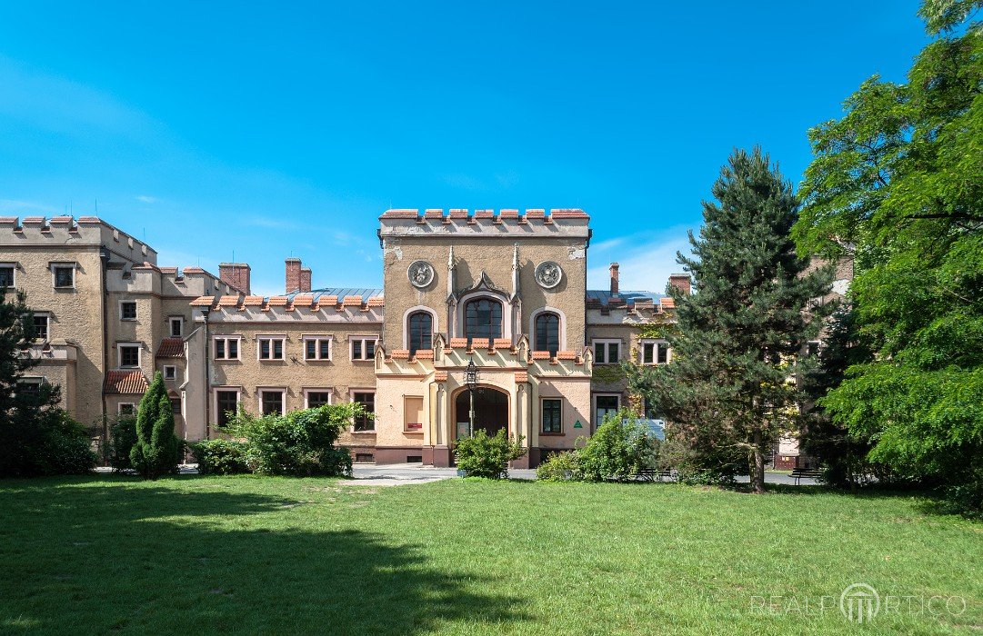 Schloss der Fürsten Radolin in Jarocin, Jarocin