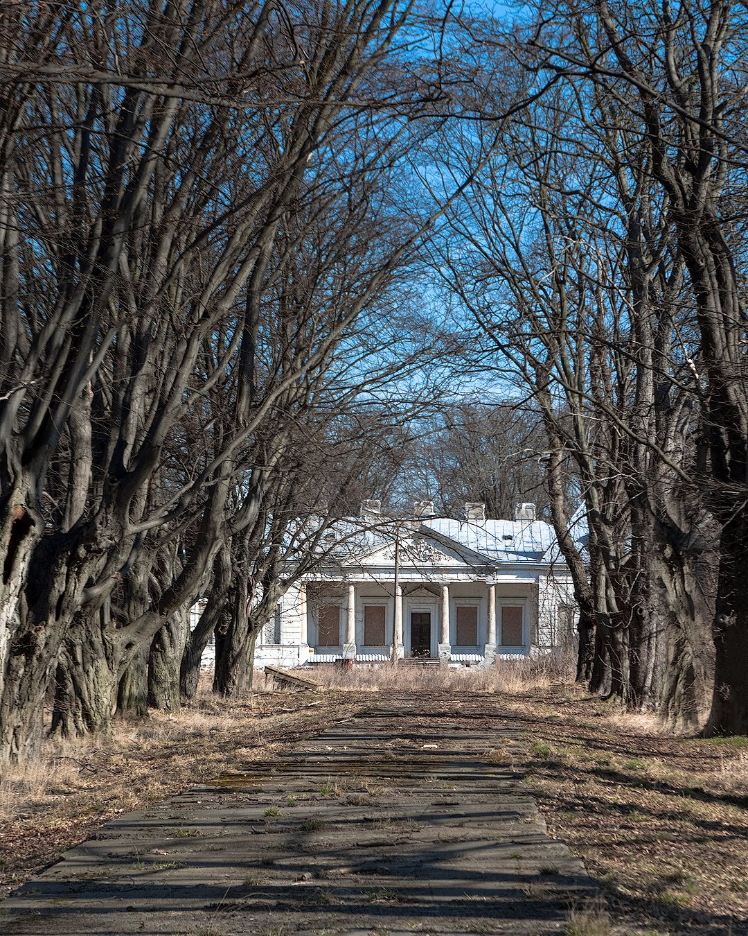 Pałac Brühla na Młocinach: Zufahrt zum Schloss